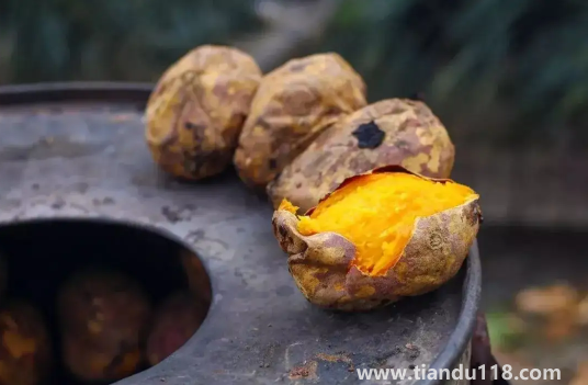 吃烤紅薯減肥還是發(fā)胖(吃烤紅薯會(huì)發(fā)胖嗎)(圖2) 吃烤紅薯減肥還是發(fā)胖2