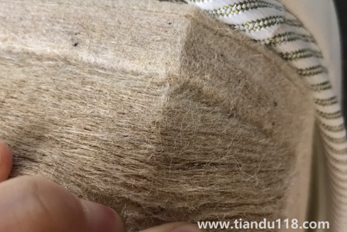 黃麻床墊可以暴曬嗎2