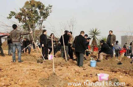 霜降以后還能種樹嗎3