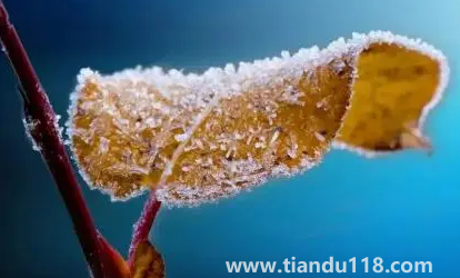 2022年霜降會(huì)提前嗎(先立冬還是先霜降)(圖2) 2022年霜降會(huì)提前嗎2