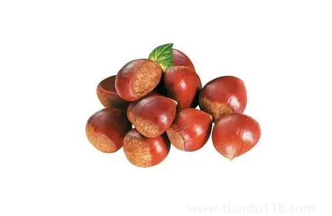 吃板栗可以補腎嗎(吃板栗怎么補腎效果最好)(圖3) 吃板栗可以補腎嗎3