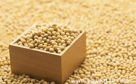 大豆被和蠶絲被哪個(gè)適合孩子(大豆纖維被和蠶絲各自有什么優(yōu)點(diǎn))(圖2) 大豆被和蠶絲被哪個(gè)適合孩子2