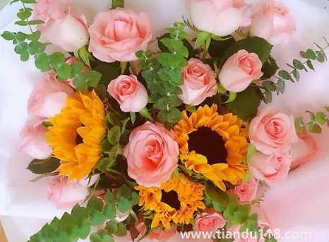 網(wǎng)上買(mǎi)的鮮花要醒花多久(網(wǎng)購(gòu)鮮花為什么要醒花)(圖3) 網(wǎng)上買(mǎi)的鮮花要醒花多久3