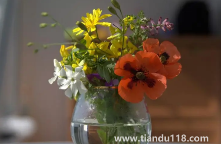 網(wǎng)上買(mǎi)的鮮花要醒花多久(網(wǎng)購(gòu)鮮花為什么要醒花)(圖1) 網(wǎng)上買(mǎi)的鮮花要醒花多久1