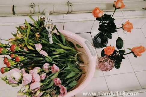 網上買的鮮花先去葉子還是先醒花(醒花時哪些是要注意的)(圖3) 網上買的鮮花先去葉子還是先醒花3