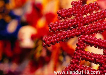 門(mén)對(duì)門(mén)掛中國(guó)結(jié)可以掛門(mén)上嗎(掛中國(guó)結(jié)要注意什么)(圖2) 門(mén)對(duì)門(mén)掛中國(guó)結(jié)可以掛門(mén)上嗎 2