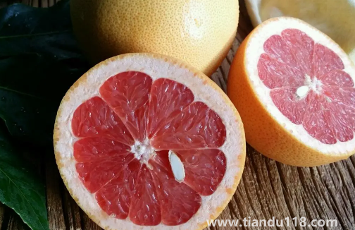 葡萄柚上火還是下火(葡萄柚什么人不宜吃)(圖2) 葡萄柚上火還是下火2