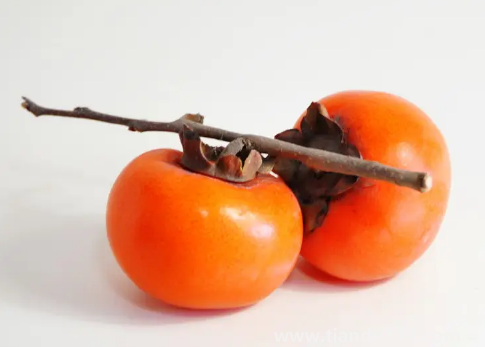 柿子用什么泡好吃又脆不澀口(吃柿子的注意事項(xiàng))(圖2) 柿子用什么泡好吃又脆不澀口2