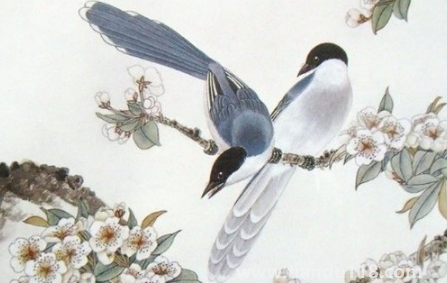 2023年生肖馬運(yùn)勢(shì)怎么樣(2023年運(yùn)勢(shì)不好怎么辦)(圖3) 2023年生肖馬運(yùn)勢(shì)怎么樣3