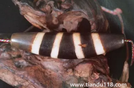 九眼天珠是什么材料做的(九眼天珠一般多少錢(qián))(圖3) 九眼天珠是什么材料做的3