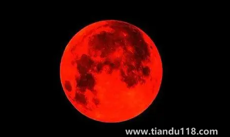 11月8日月全食每個地方都能見到嗎（月全食下一次何時出現(xiàn)）