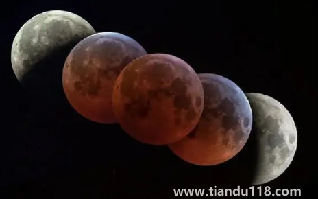 11月8日月全食每個地方都能見到嗎2