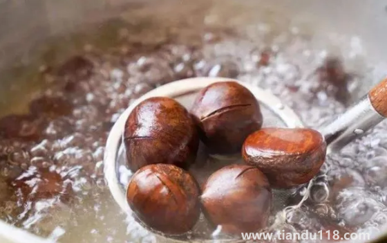 熟板栗變硬了怎么變軟(熟板栗怎么保存不會變硬)(圖3) 熟板栗變硬了怎么變軟3