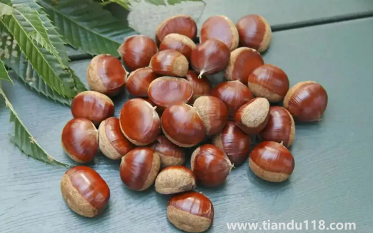 炒熟的板栗怎么保存不會(huì)壞還新鮮(炒板栗需要開(kāi)口嗎)(圖3) 炒熟的板栗怎么保存不會(huì)壞還新鮮3