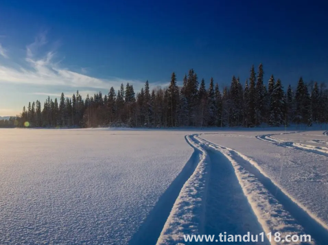 合肥2023年春節(jié)會下雪嗎（春節(jié)去合肥能不能看到雪景）