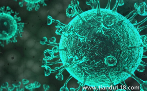 新冠損傷味覺嗅覺一個月內(nèi)可恢復(fù)嗎（新冠肺炎嗅覺和味覺失靈的原因）