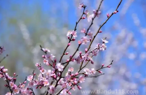 2023立春過后正常溫度多少度（為什么立春之后天氣變冷了）