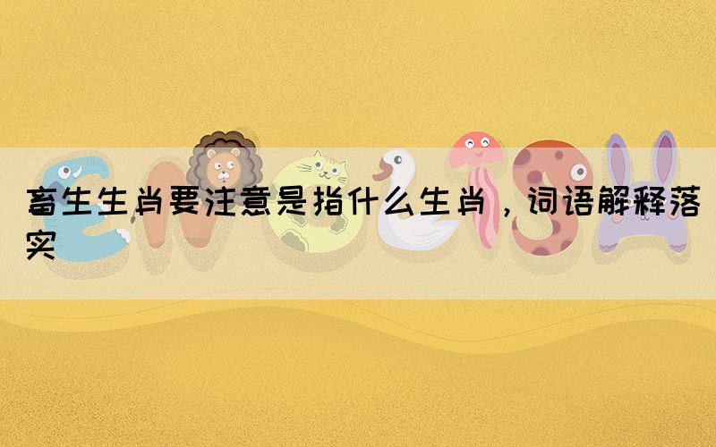 畜生生肖要注意是指什么生肖，詞語解釋落實(shí)
