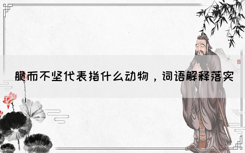 脆而不堅代表指什么動物，詞語解釋落實