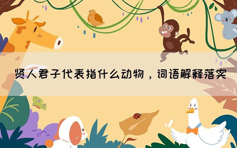 賢人君子代表指什么動(dòng)物，詞語(yǔ)解釋落實(shí)