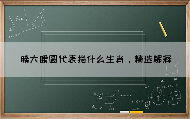 膀大腰圓代表指什么生肖，精選解釋
