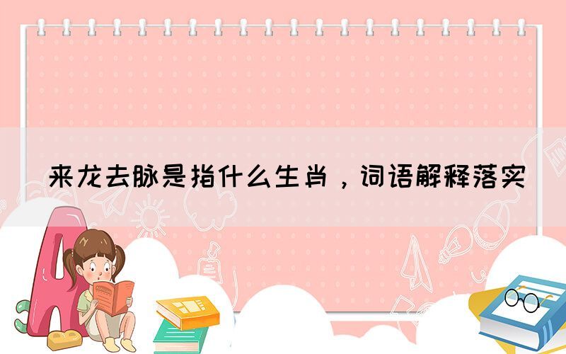 來龍去脈是指什么生肖，詞語解釋落實