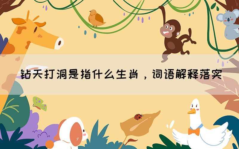 鉆天打洞是指什么生肖，詞語(yǔ)解釋落實(shí)