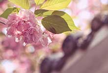 閏四月有啥講究 閏四月有什么講究