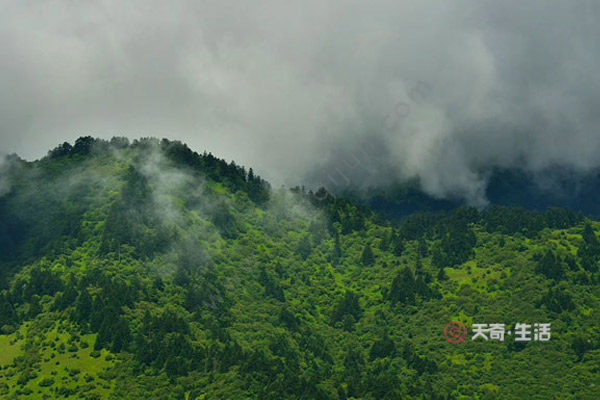 神農(nóng)架都有什么主要景點(diǎn)