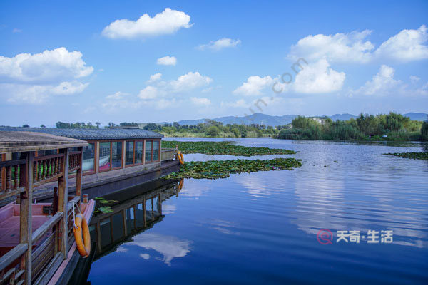 普者黑荷花是什么季節(jié)開的 普者黑荷花是哪個季節(jié)開的(圖2) 普者黑荷花是什么季節(jié)開的
