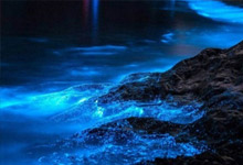 福建除了廈門還有哪里旅行 福建除了廈門可以旅行的地方