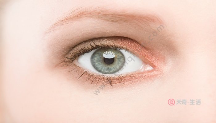 眼部打底用在粉底后嗎 眼部打底用在哪個步驟(圖4) 眼部打底用在粉底后嗎