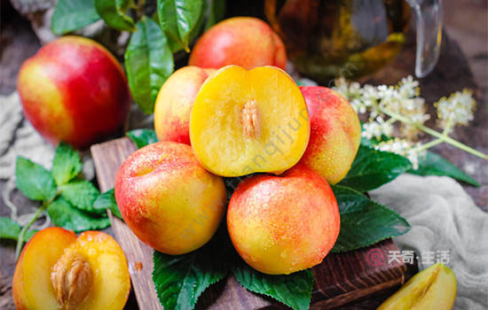 嘉興有哪些特色水果 浙江嘉興特產(chǎn)(圖2) 嘉興有哪些特色水果