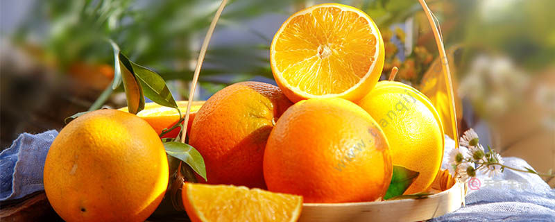 嘉興有哪些特色水果 浙江嘉興特產(chǎn)(圖1) 嘉興有哪些特色水果